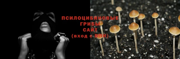 прущая мука Армянск