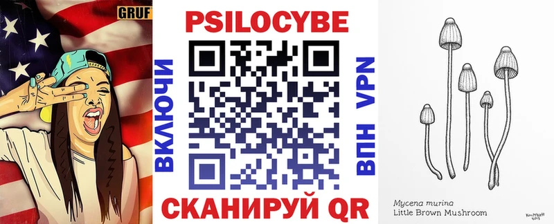 Купить где  Каргат  Галлюциногенные грибы ЛСД 